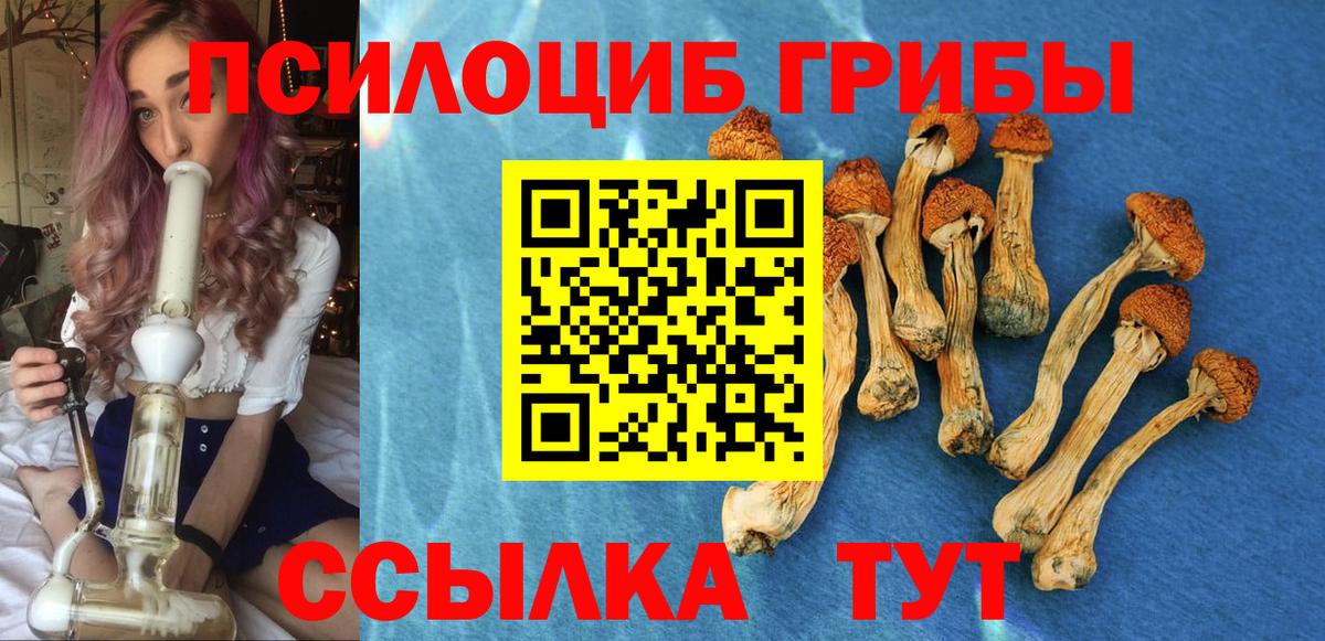 Галлюциногенные грибы мицелий  Галлюциногенные грибы GOLDEN TEACHER  Вход с VPN  Избербаш 